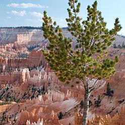 Bryce Canyon N.P. - Utah